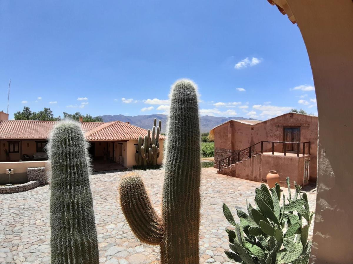Estancia Colome Molinos Exterior foto