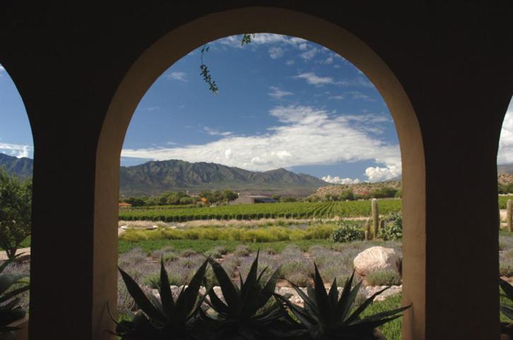 Estancia Colome Molinos Exterior foto